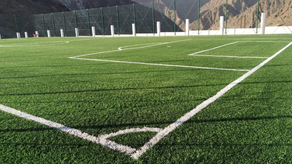 Artificial Turf